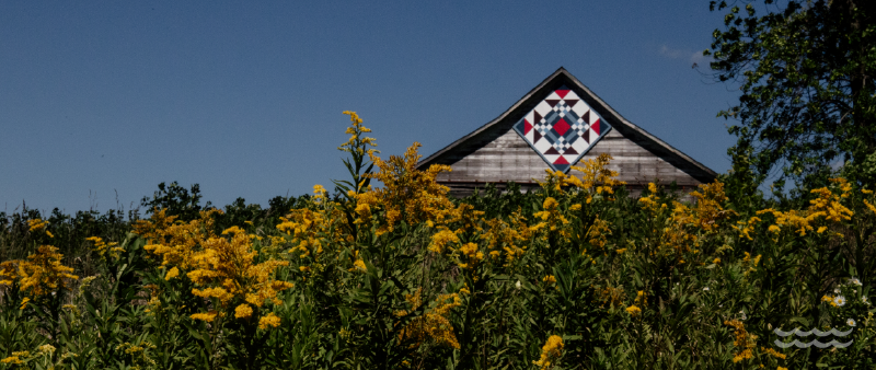 A barn with a painted quilt sits behind a field of yellow flowers.