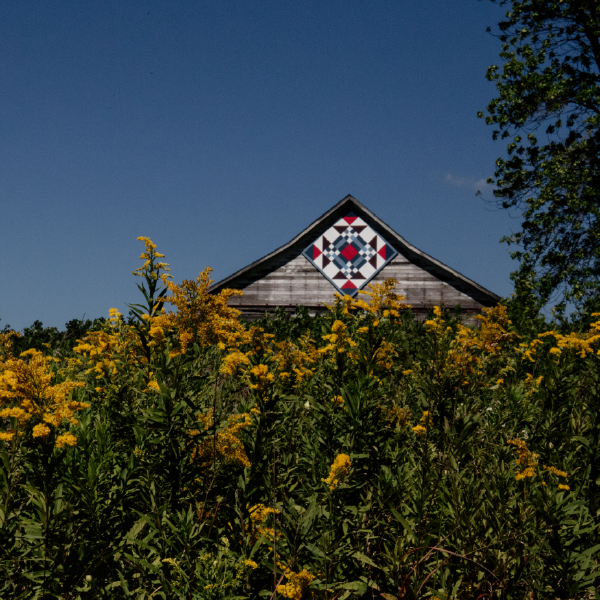 Barn with quilt behind yellow flowers